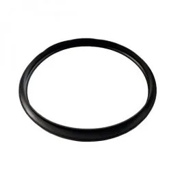 Joint De Couvercle Star Clear Pour Filtre à Cartouche - CX250F - Hayward - Noir